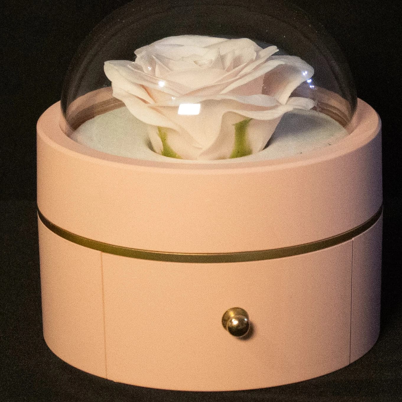 Ring Holder