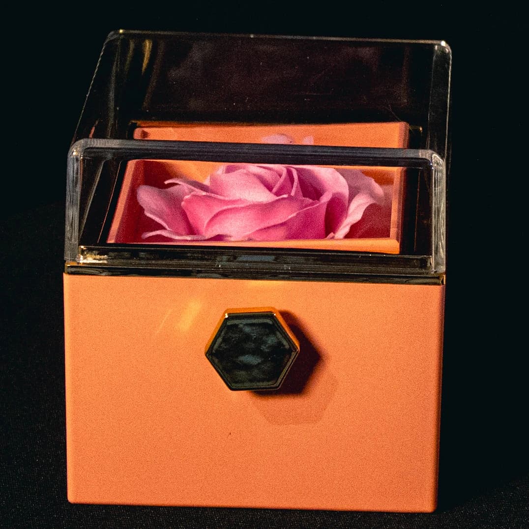 Ring Holder