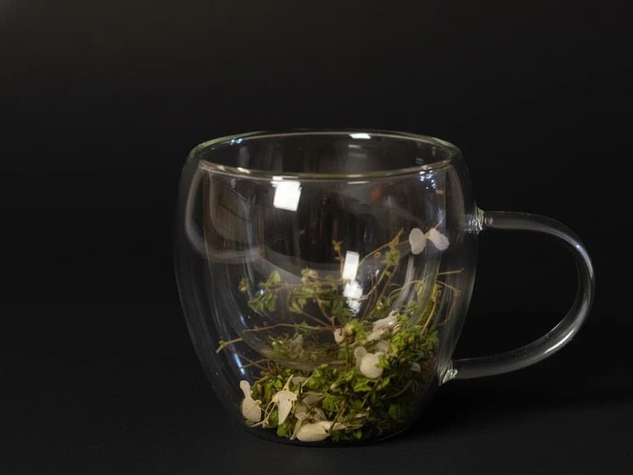 Double-Walled Herbal Infusion Glass Mug